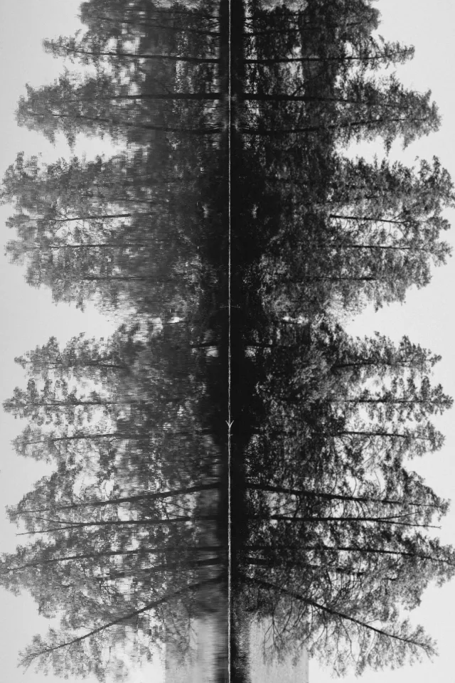 Picture of a Rorscharch-looking test