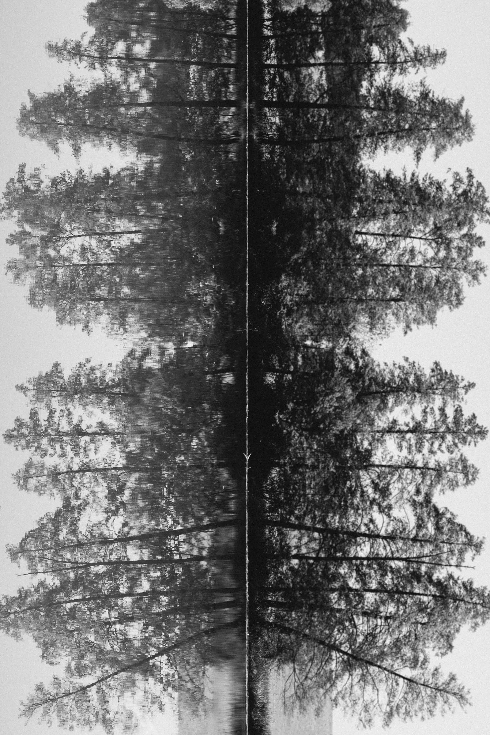 Picture of a Rorscharch-looking test